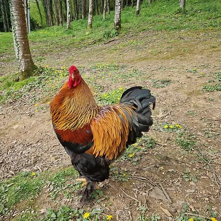 Nyaraló Sous-terre *