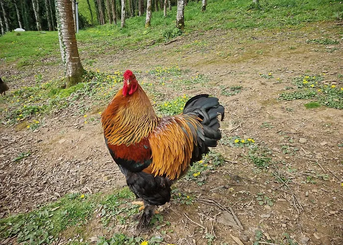 Dom wakacyjny Sous-terre *