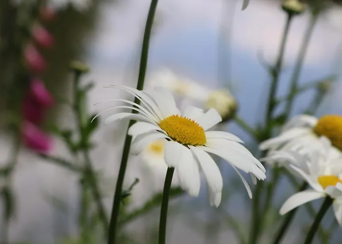 Nyaraló Sous-terre *